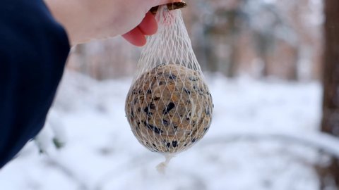 Bird food.Video pack. Female and children's hands hang nets with bird food in the winter snowy forest.feeding wild birds with fat bird food. Video footage set