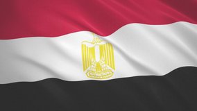 Egypt . Waving Flag Video Background