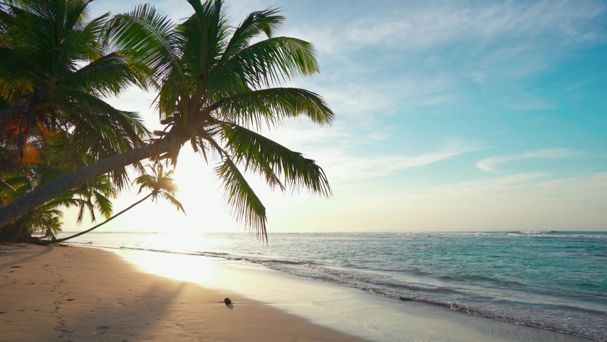 Sundown beach landscape 4k stock video. Beautiful sundown on the palm beach background. The sun under the palm tree sunset light illuminates the sandy beach and sea waves. Royalty-Free Stock Footage #1072747349
