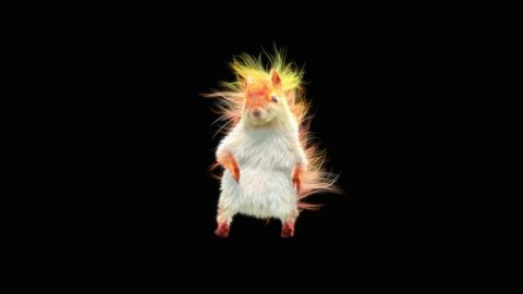 White squirrel Dance CG fur. 3d rendering, animal realistic CGI VFX, Animation Loop, composition 3d mapping cartoon, Included in the end of the clip with luma matte.