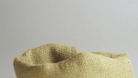 Freshly roasted coffee beans fall from top to bottom. Eco-friendly burlap bag. Gray background. 4k video.