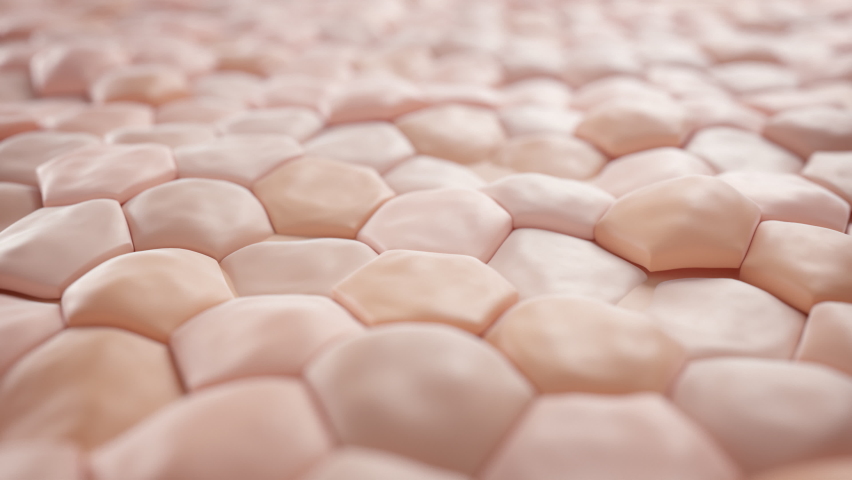 Soothing wave across the skin surface, 3D Hexagonal Skin Set | Shutterstock HD Video #1072781969