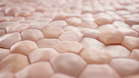 Soothing wave across the skin surface, 3D Hexagonal Skin Set