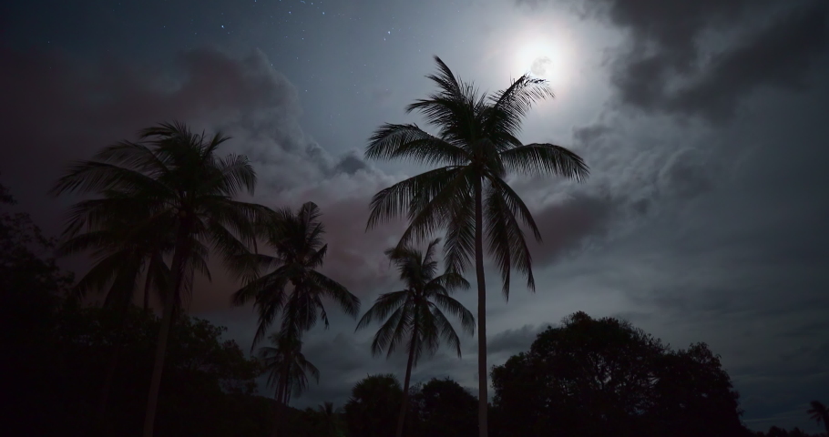 Full moon night with pam trees silhouettes and clouds
