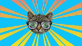 Contemporary minimal motion art. Cat beagle in glasses wiggle in sun brush animation - Powered by Shutterstock - Get 15% off with code: PIKWIZARD15