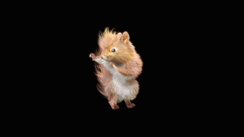 squirrel Dance CG fur. 3d rendering, animal realistic CGI VFX, Animation Loop, composition 3d mapping cartoon, Included in the end of the clip with luma matte.