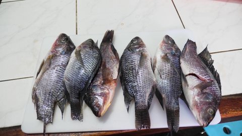 Tilapia fish laid out on a kitchen bench ready for meal preparation.