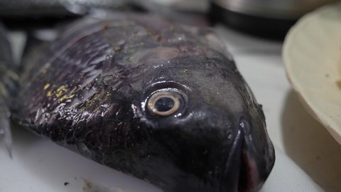 A close up shot of the face and eyes of a tilapia fish in a kitchen.