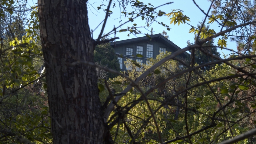 Stylish House Perched Atop A Hill In A Wooded Forest