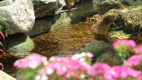 water from brook and moss on the stone and blur pink flower foreground