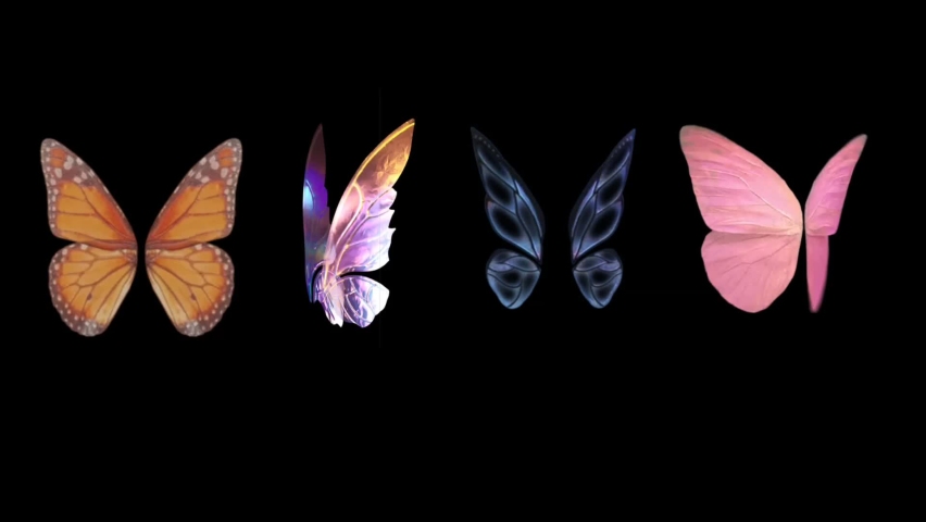 Colorful Butterfly Wings Background 4k Animation Stock Footage. 3D Butterfly Stock Videos. Royalty-Free Stock Footage #1072844801