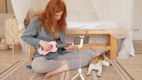 beautiful happy red haired girl learning playing ukulele at home sitting on floor in sunny bedroom. Online skills education class. Dog Jack Russell terrier chilling. Video footage study online theme