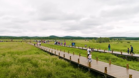 Lockdown shot of people on footpaths over wetland, Saihanba National Forest Park, Chengde, Hebei Province, China - August, 13, 2019