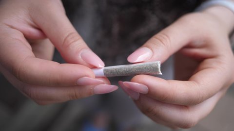 Woman hands with a joint of cannabis marijuana rolled. closeup shot