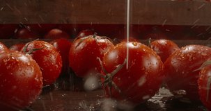 Freshly harvested red juicy tomatoes falling onto kitchen table. Organic vegetables being washed. Food and drink, food preparation close up 4k footage
