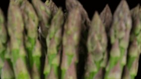 green asparagus close up, isolated on black background. Sliding shot. 4K UHD video