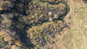 Aerial video of meanders of the Koen river and farm on the bank. Beautiful autumn landscape from above. Novosibirsk, Siberia, Russia. 