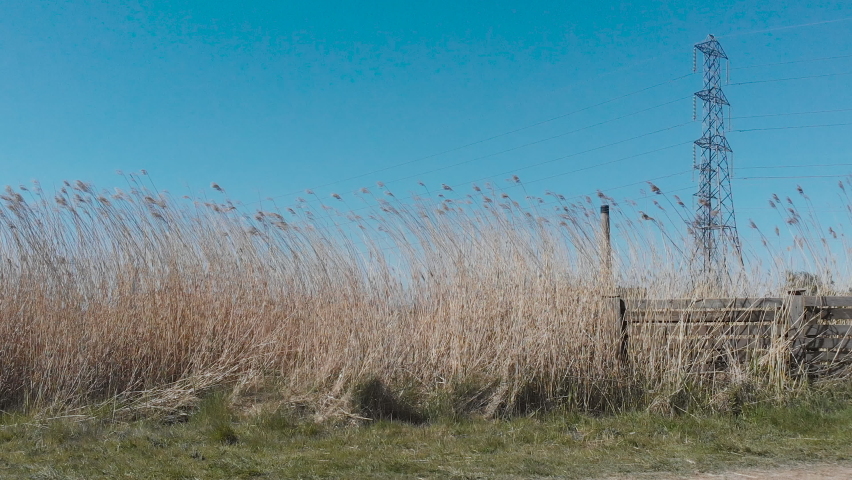 Industry and nature trying to rebalance itself on Newport Wetlands, reclaimed industrial land now home to many different species of birds and wildlife