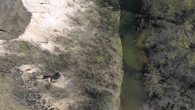 Chalk cliffs on the banks of the Shipunikha river. Aerial video from drone. Camera pointed down. Novosibirsk region, Siberia, Russia