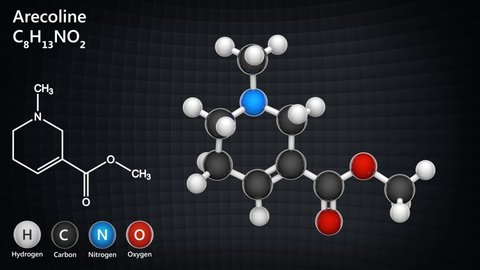 Arecoline (C8H13NO2) is a nicotinic acid-based mild stimulant alkaloid found in the areca nut. Chemical structure model: Ball and Stick. 3D render. Seamless loop.