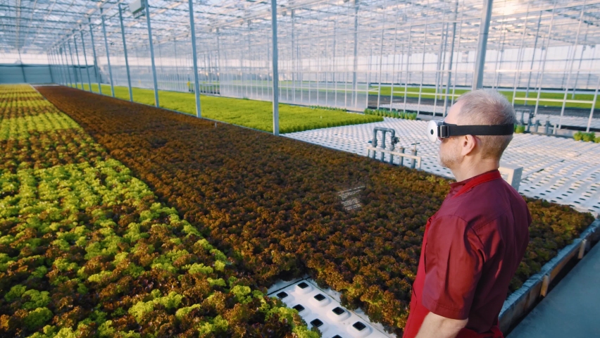Futuristic agriculture technology of harvest growing control in greenhouse. Worker monitors progress via smart VR headset. Greenery data collection and watering by artificial intelligence. Agro crops Royalty-Free Stock Footage #1072966175