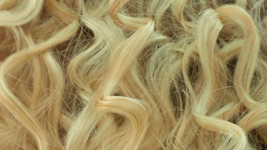 beautiful curly and long blonde hair, close-up curls Royalty-Free Stock Footage #1072966463
