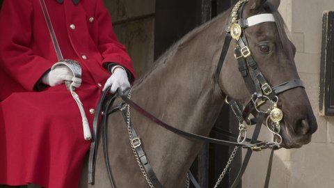 Close up of Horse Guard on Duty At Whitehall
