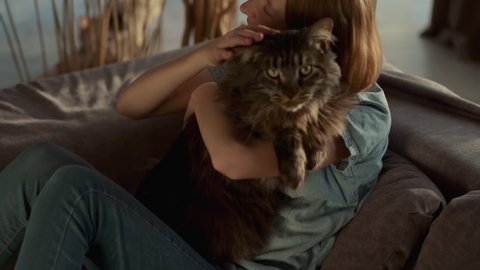 Pretty teenager girl hug their pet while sitting on the couch in the living room. Beautiful cat, Maine Coon breed. Slo-mo