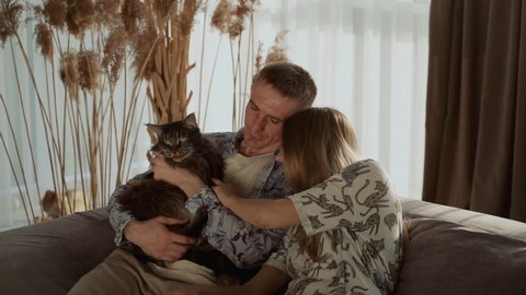 A young couple hugs each other and plays with their pet while sitting on the couch in the living room. Beautiful cat, Maine Coon breed. Slo-mo