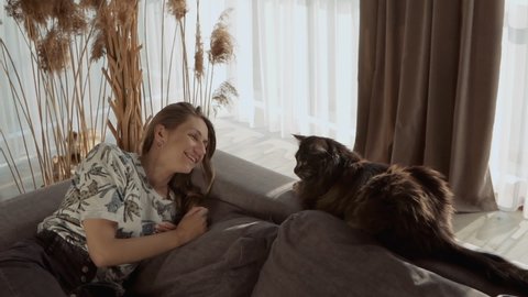 Adult pretty woman play with their pet while sitting on the couch in the living room. Beautiful cat, Maine coon breed. Slow motion
