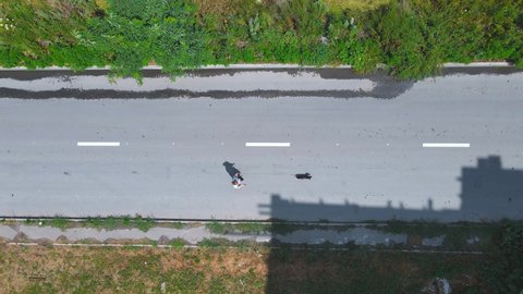 Silly irresponsible woman walks with active dachshund dog using leash on roadway, putting herself and pet in danger, top view, drone shooting from height.