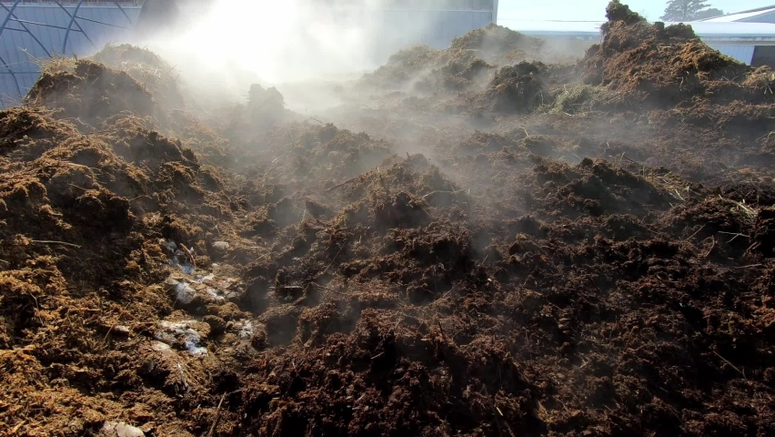 Steam Rising From A Heap Of Horse Manure In The Farm. close up Royalty-Free Stock Footage #1072987265
