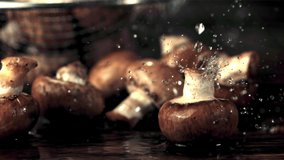 Super slow motion on the mushrooms drops water. On a black background.Filmed on a high-speed camera at 1000 fps. - Powered by Shutterstock - Get 15% off with code: PIKWIZARD15