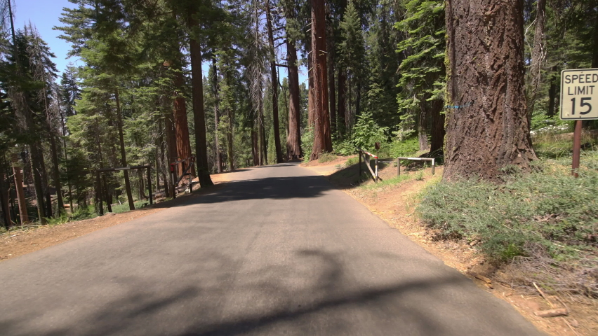 Sequoia National Park Driving Plate Crescent Meadow Rd Westbound 19 Giant Forest Parking In Sierra Nevada Mts California