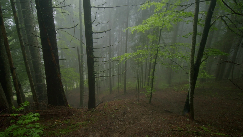 Mountain biker rides down steep trail in a foggy forest