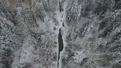 Banff, Canada - 02.02.2021: Winter forest,  drone footage; Beautiful trees, Forest. Banff National Park, Alberta
