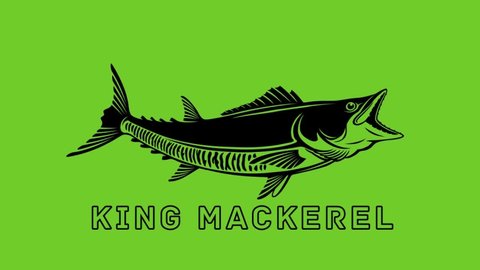 the figure shows a king mackerel