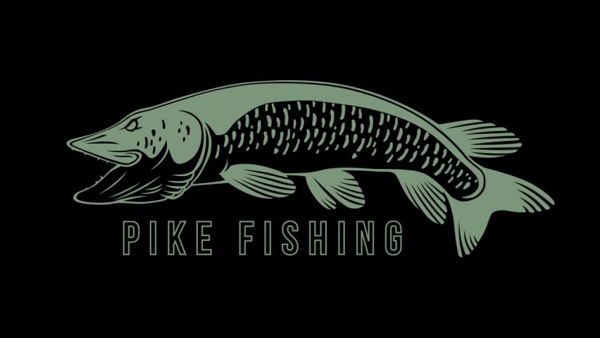 Pike logo Stock Video Footage - 4K and HD Video Clips | Shutterstock