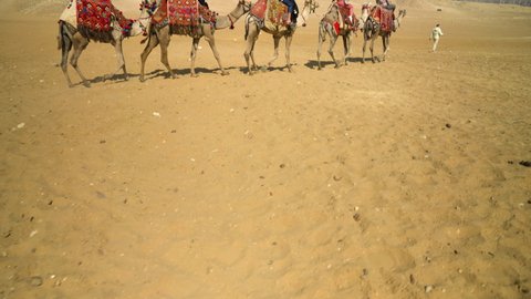 A Caravan Of Camels With People Walking Along The Desert Sand, Pyramids In Background In Cairo, Egypt - wide shot