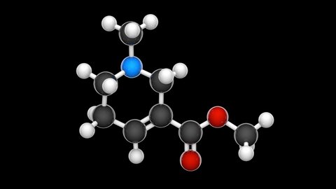 Arecoline (C8H13NO2) is a nicotinic acid-based mild stimulant alkaloid found in the areca nut. Chemical structure model: Ball and Stick. 3D render. Seamless loop. RGB + Alpha (Transparent) channel