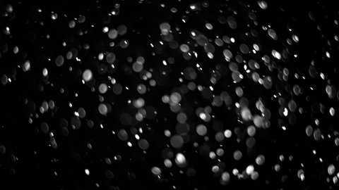 Falling Dust Particles On Black Background. Shimmering Glittering Particles With Swirly Bokeh. Real Dust Particles Randomly Float In Air Space