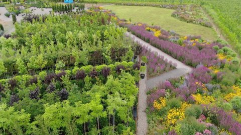 Different ornamental plants on the local farm to grow seedlings of trees and shrubs. A set of beautiful plants, a view from above 4k