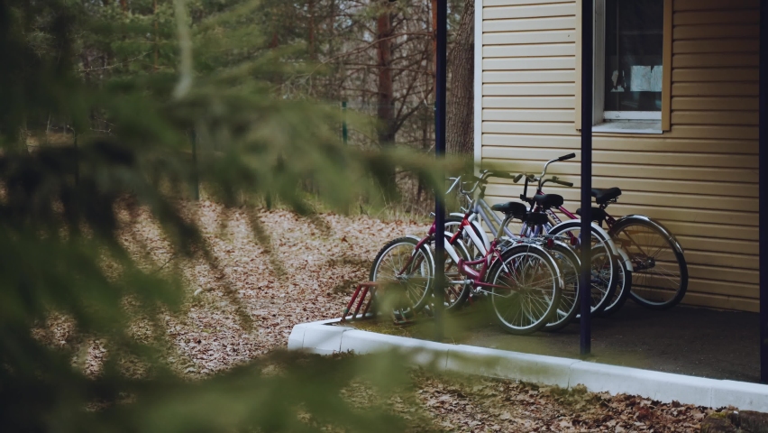 Bike rental in the forest. Bike parking