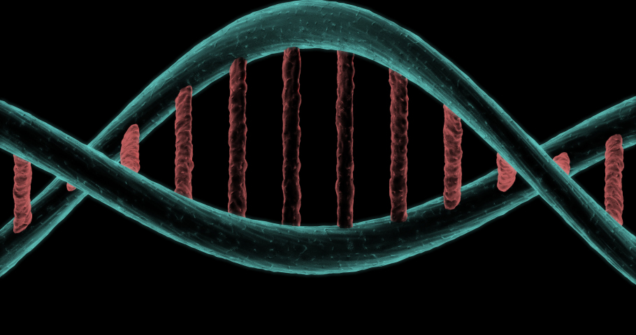 Dna биоревитализация classic. 10010. Протофибриноген 9 строение. Сверхспирализация днк. Dna 20.