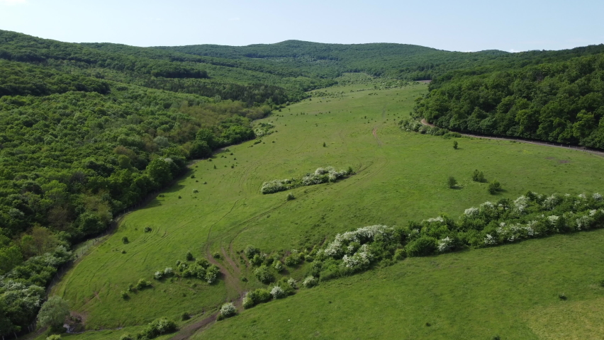 Pasture Between Two Forests up 스톡 동영상 비디오(100% 로열티 프리) 1073100914 | Shutterstock