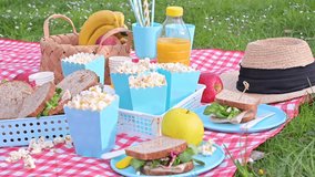Lunch in the park on the green grass. Summer sunny day and picnic basket. Popcorn and sandwiches for a snack outdoors in nature. in bright plastic dishes on a checkered tablecloth . Copy space - Powered by Shutterstock - Get 15% off with code: PIKWIZARD15