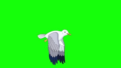 Seagull flies and soars in the sky. Handmade animated looped 4K footage isolated on green screen