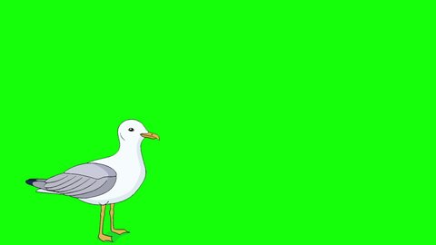 Seagull flies up into the sky. Handmade animated 4K footage isolated on green screen