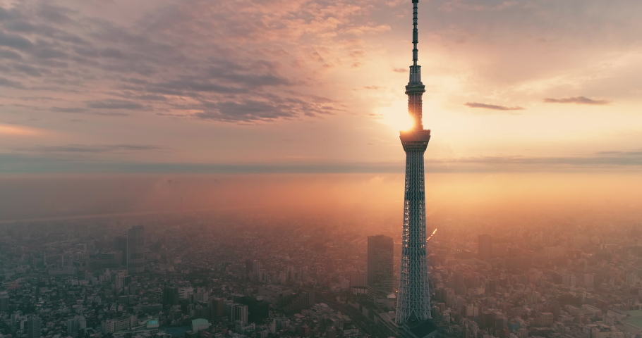 Aerial shot of Tokyo city, Japan Royalty-Free Stock Footage #1073153294