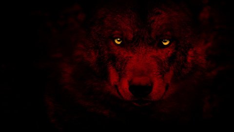 Glowing Red Wolf Eyes - greeneyesstyle